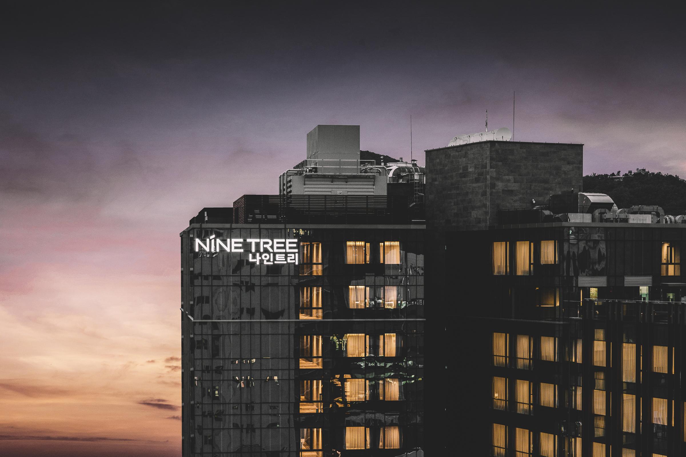 Nine Tree Premier Hotel Insadong Myeongdong Seoul Exteriör bild